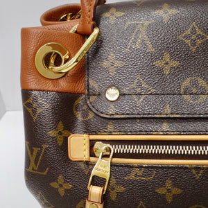Louis Vuitton Monogram Olympe Havane Handbag