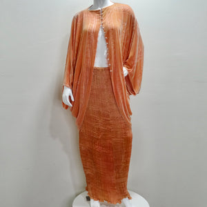 Charles Patricia Lester 1970s Fortuny Style Burnt Velvet Pleated Top & Skirt Set