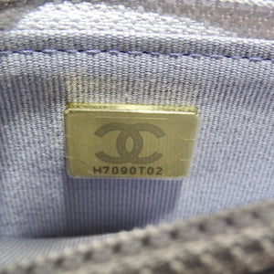 Iridescent Calfskin Quilted Medium Chanel 19 Flap Bag