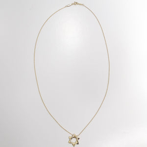 Tiffany & Co 18K Gold Elsa Peretti Star of David Pendent Necklace