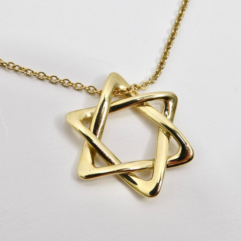 Tiffany and Co 18K Gold Elsa Peretti Star of David Pendent Necklace For  Sale at 1stDibs
