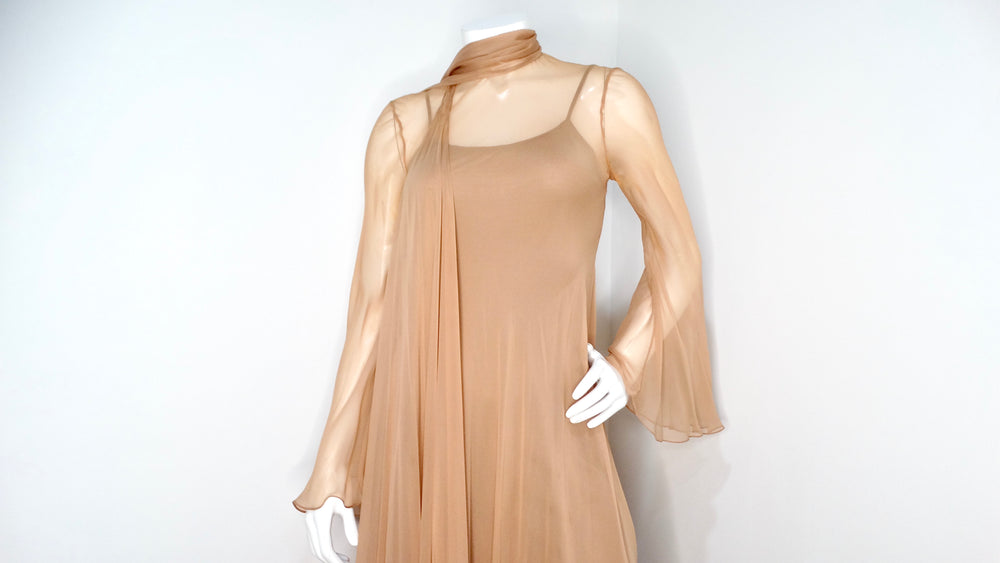 Fiandaca Couture Vintage 1960s Sheer Tan Angel Wing Dress With Slip