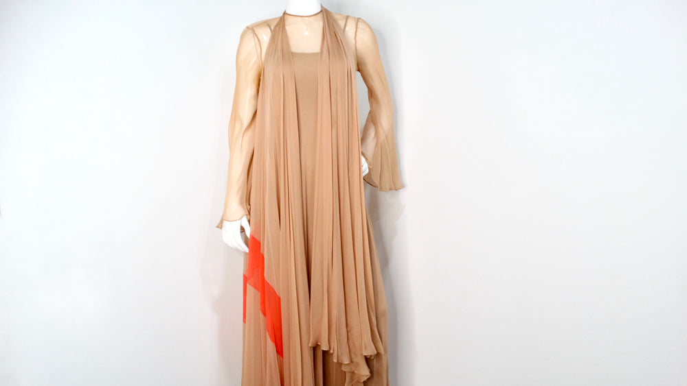 Fiandaca Couture Vintage 1960s Sheer Tan Angel Wing Dress With Slip