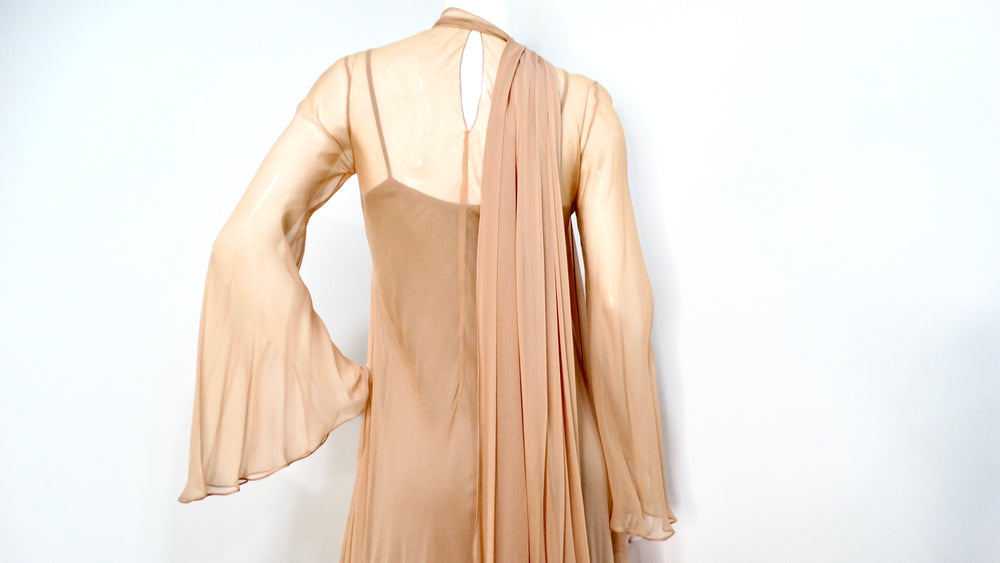 Fiandaca Couture Vintage 1960s Sheer Tan Angel Wing Dress With Slip