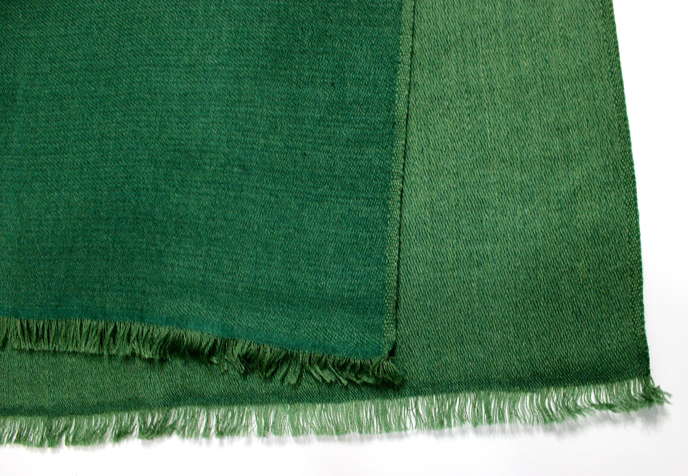 Rolex Two-Toned Green Cashmere Fringe Scarf