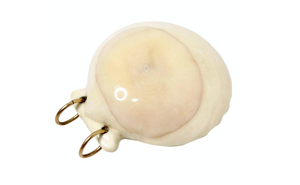 14k Gold Scallop Shell Necklace Pendant circa 1970s