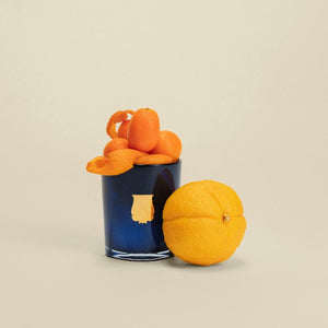 Reggio Citrus from Calabria Petite Candle