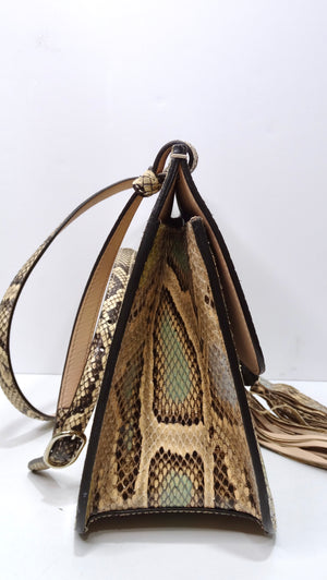 Gucci Beige GG Coated Supreme Canvas and Python Embroidered Magnetismo  Medium Dionysus Shoulder Bag - Yoogi's Closet