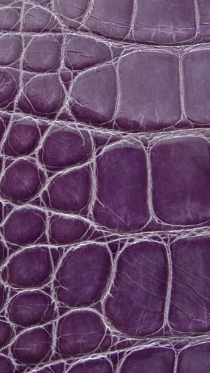 Louis Vuitton Purple Exotic Crocodile Brea Handbag – Vintage by Misty