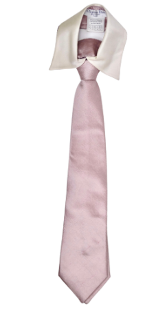 Christian Dior Rare Neck Collar & Tie
